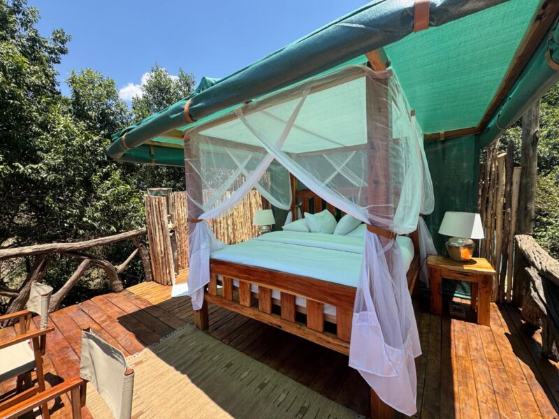 How Much Should a Safari Lodge Website Cost in 2026?