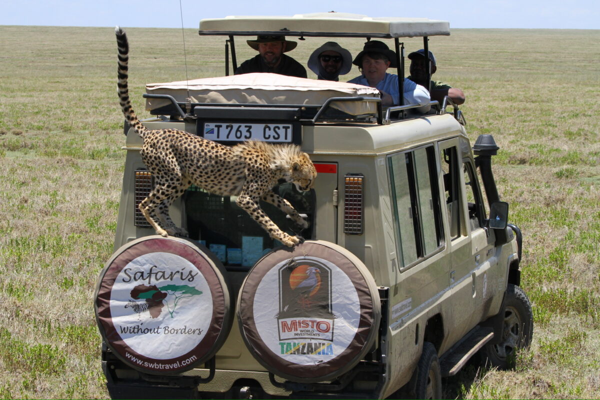 Safaris Without Borders case study
