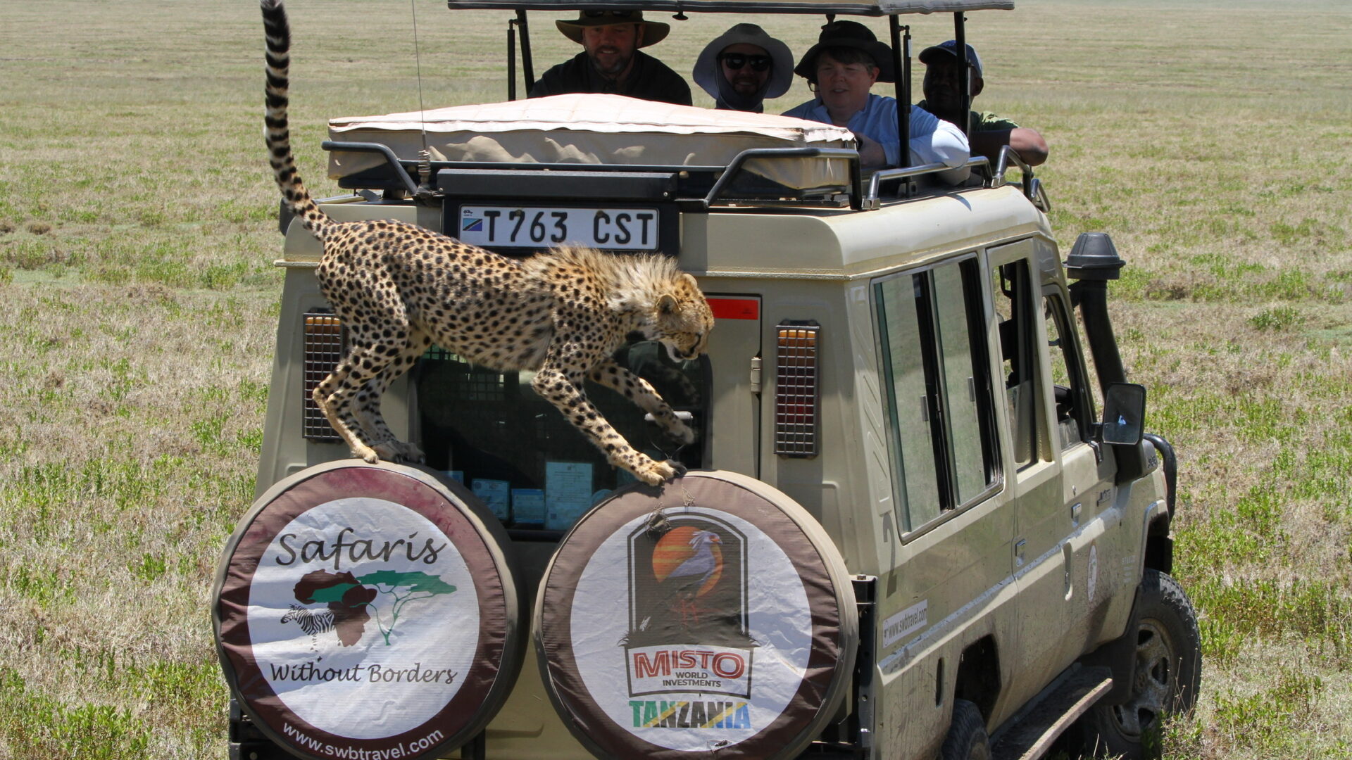 Safaris Without Borders — Vanquish Brand Design case study
