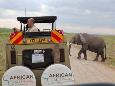 Safari SEO: How Tour Operators Get More Direct Enquiries