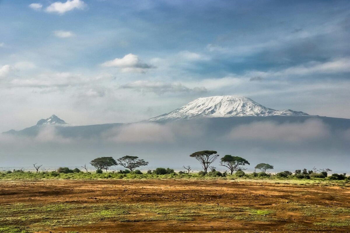 To Kilimanjaro case study