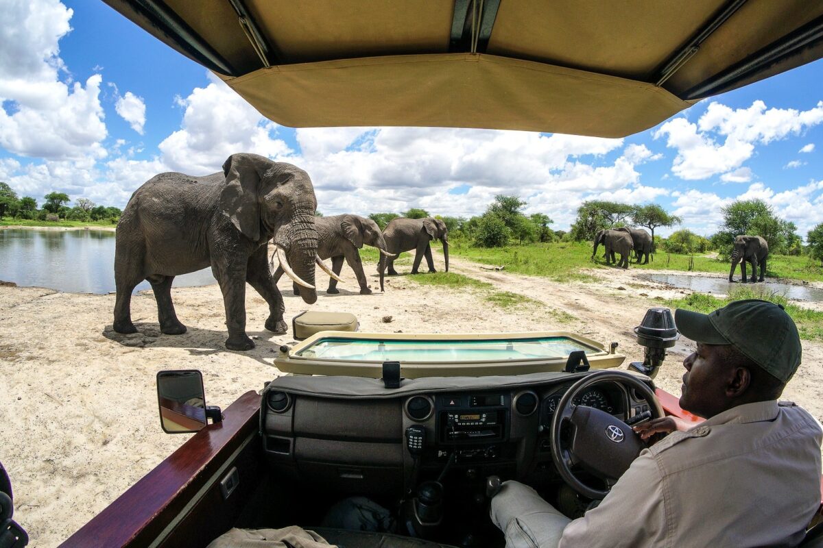 Ayal Tours and Travel — Vanquish case study